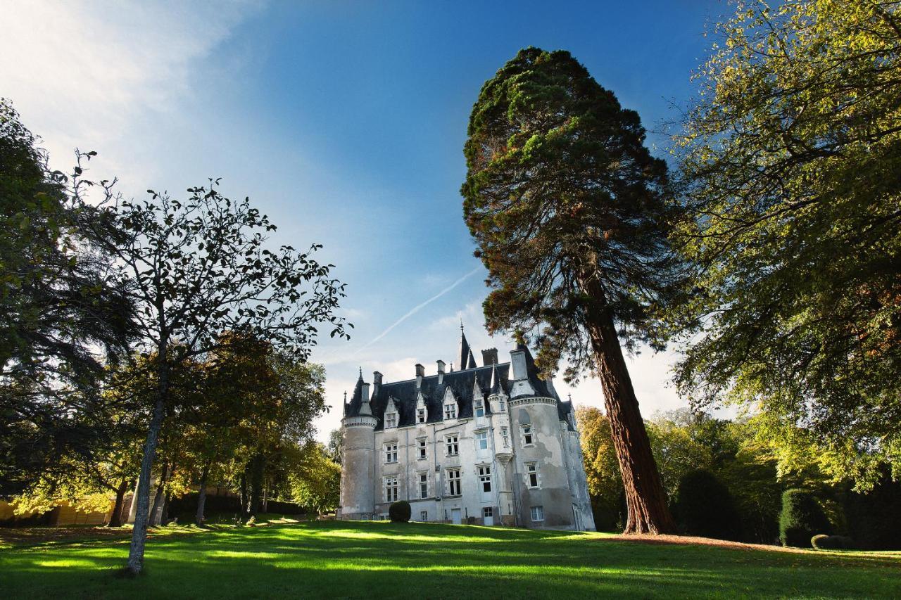 Chateau D'Amenon La Chapelle-aux-Choux エクステリア 写真